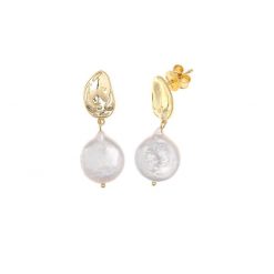 164A0081 Salvatore Plata Pendientes